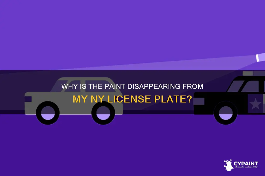 why icbthe paint disappearing from my nys license plate