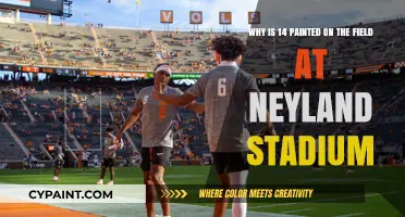 The Legacy of Number 14: Neyland Stadium's Tribute to a Football Icon