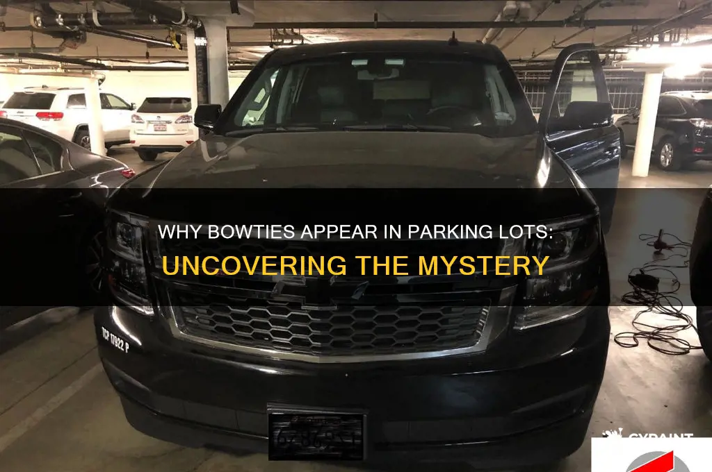 why is a bowtie painted in the parking lot