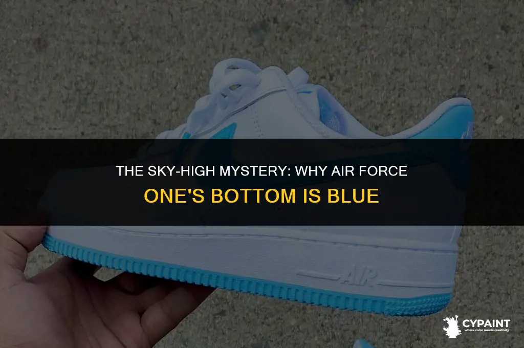 why is air force one painted blue on the bottom