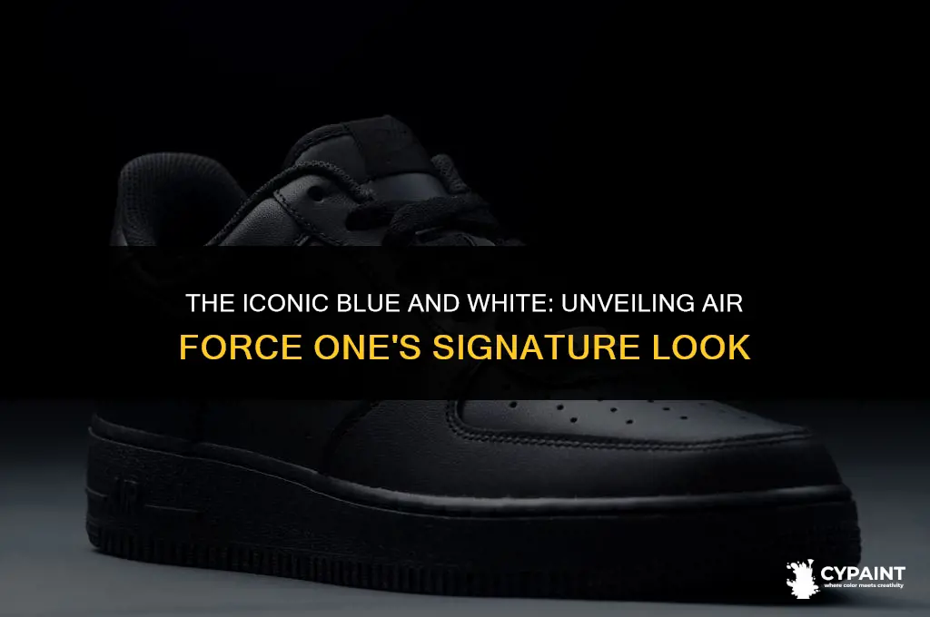 why is air force one painted the way it is
