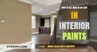 Decoding the Myth: Is All High or Low in Interior Paints?