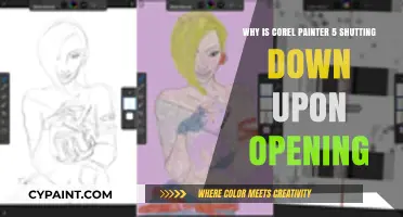 Corel Painter 5 Crashing on Startup: Causes and Fixes