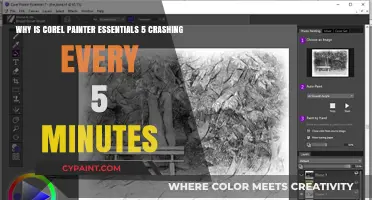 Corel Painter Essentials 5 Crashing: Causes and Solutions
