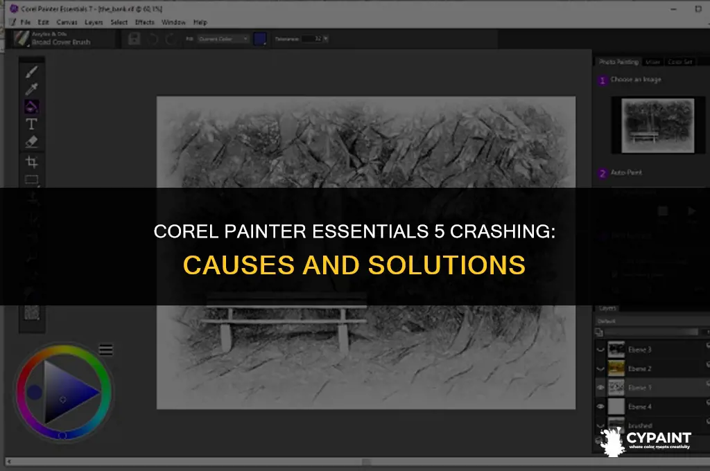 why is corel painter essentials 5 crashing every 5 minutes