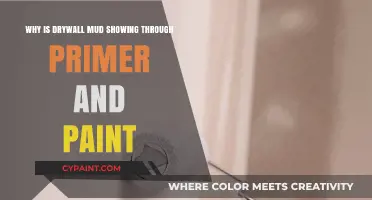 Drywall Mud Showing Through Primer and Paint: Causes and Solutions