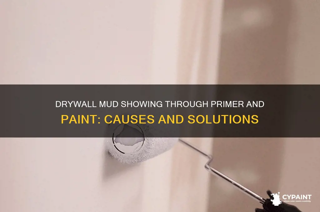 why is drywall mud showing through primer and paint