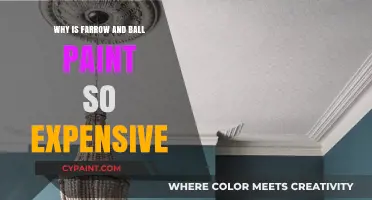 Why Farrow & Ball Paint Commands a Premium Price Tag