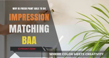 Unveiling the Secrets: How Fresh Paint Excels in Impression Matching