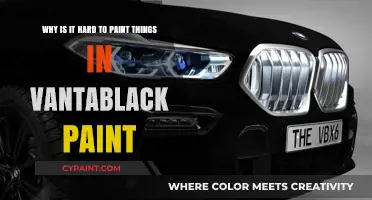 Unveiling the Challenges of Painting with Vantablack: A Deep Dive