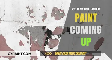 Why Is My First Layer of Paint Peeling Off? Causes & Fixes