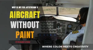 Troubleshooting FSX Jetstream 3 Missing Paint: Causes and Solutions