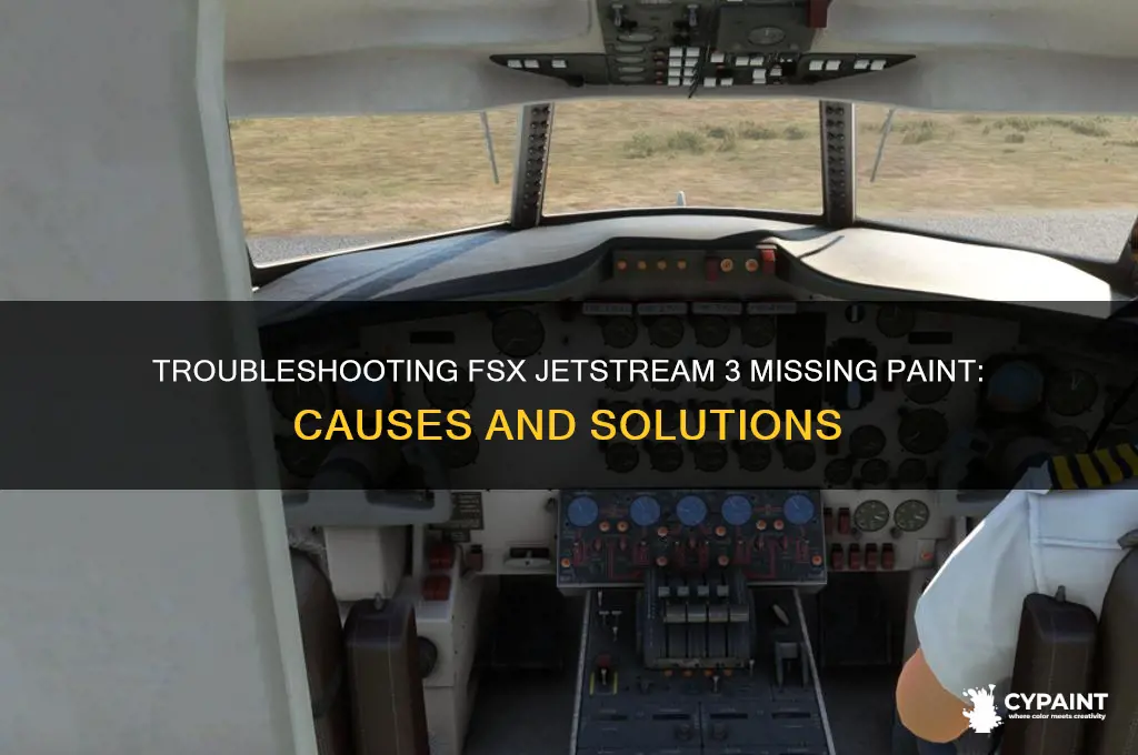 why is my fsx jetstream 3 aircraft without paint