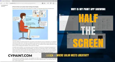 Paint App Display Issue: Half Screen Visible, Causes & Fixes
