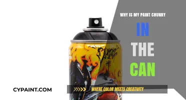 Unveiling the Mystery: Why Your Paint Turns Chunky in the Can