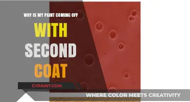 Why Paint Peels: Second Coat Issues and Solutions Explained