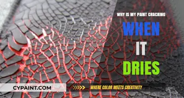 Why Paint Cracks When Drying: Causes and Solutions Explained