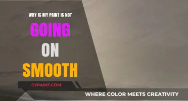 Achieving Smooth Paint Finish: Common Mistakes and Easy Fixes