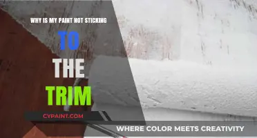 Paint Not Sticking to Trim? Common Causes and Quick Fixes