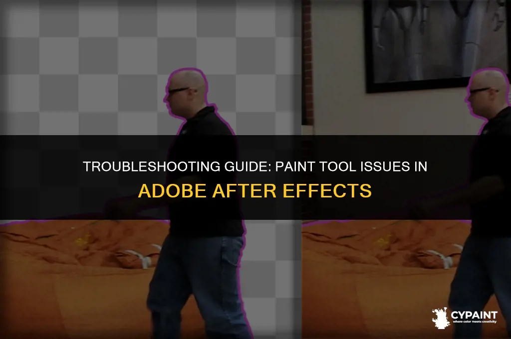 why is my paint not working in adobe after effects