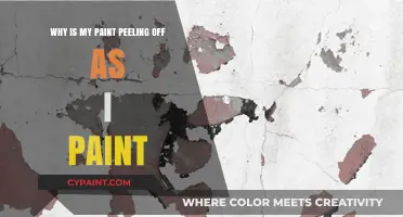 Why Paint Peels While Painting: Causes and Quick Fixes