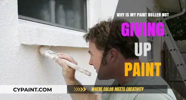 Troubleshooting Paint Roller Issues: Why It's Not Releasing Paint