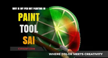Troubleshooting Tips: Pen Not Painting in Paint Tool SAI