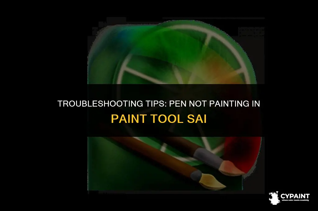why is my pen not painting in paint tool sai