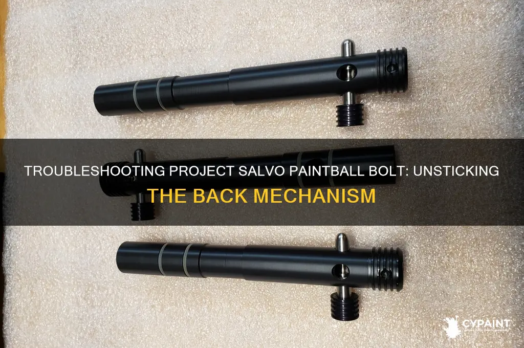 why is my project salvo paint ballbolt stuck back