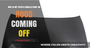 Corolla Paint Woes: Understanding Hood Paint Degradation