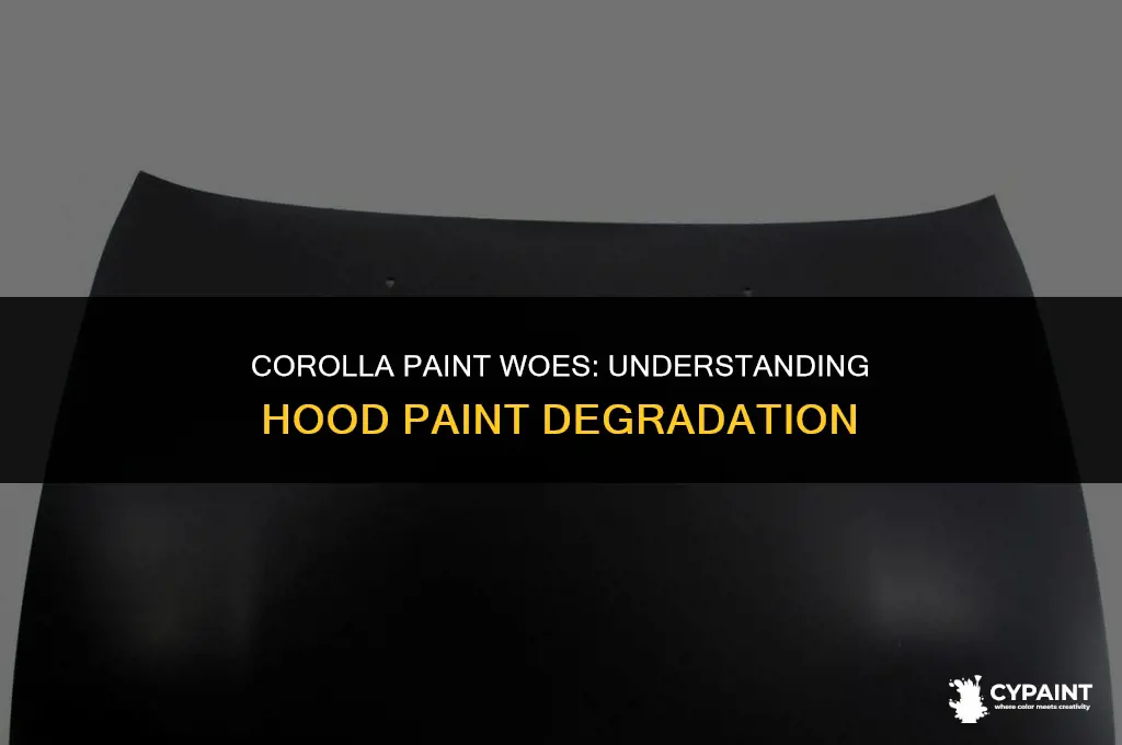 why is my toyota corolla paint on hood coming off