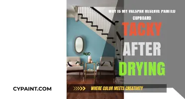 Why Your Valspar Reserve Painted Cupboard Feels Tacky After Drying
