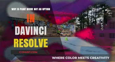 Exploring the Absence of Paint Mode in DaVinci Resolve