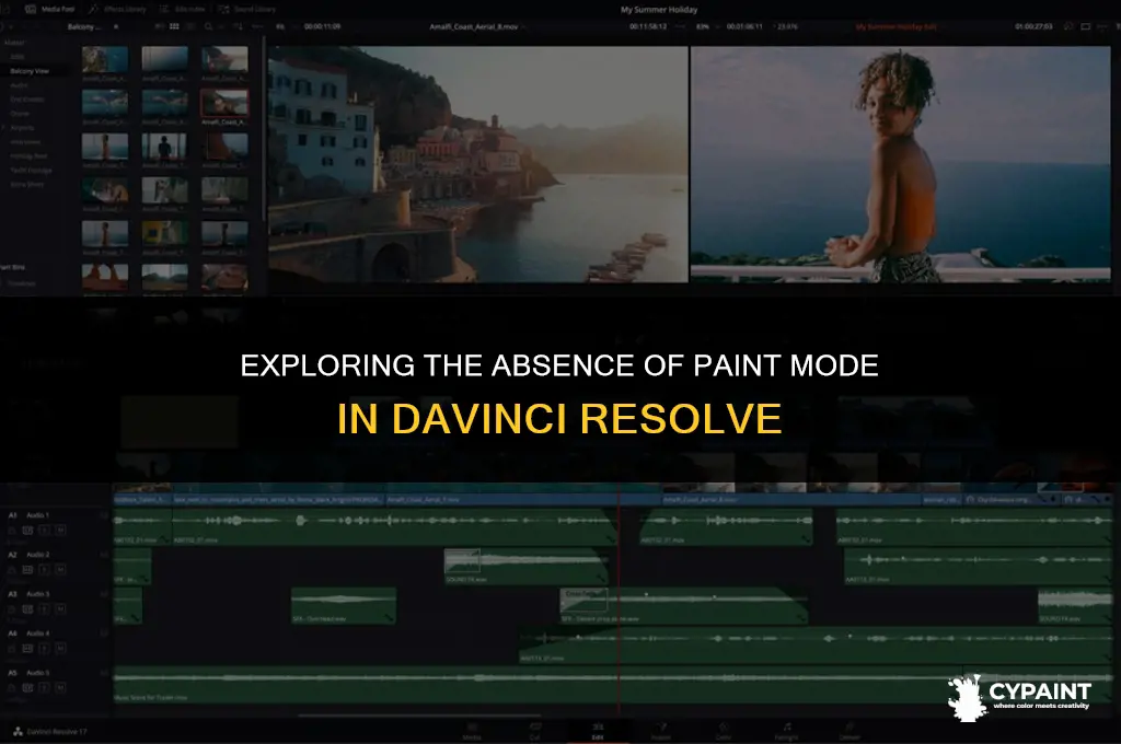 why is paint mode not an option in davinci resolve