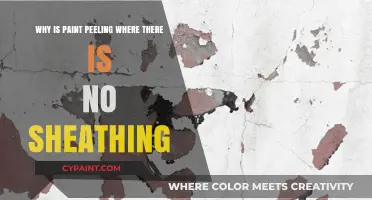 Why Paint Peels Without Sheathing: Causes and Solutions