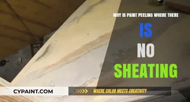 Why Paint Peels in Areas Without Sheathing: Causes and Solutions