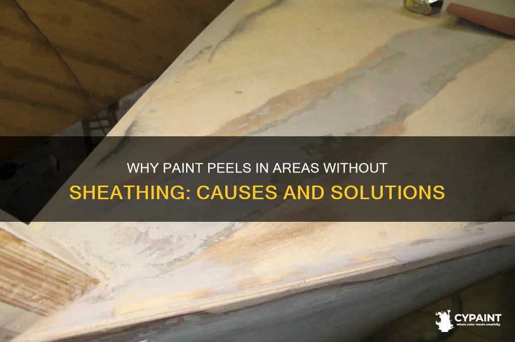 why is paint peeling where there is no sheating