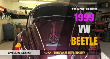 1999 VW Beetle Paint Issues: Causes and Solutions Explained