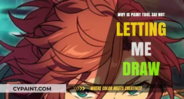Troubleshooting Paint Tool SAI: Why Can't I Draw? Solutions Explained