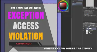 Fixing Paint Tool SAI Exception Access Violation Error: Causes & Solutions