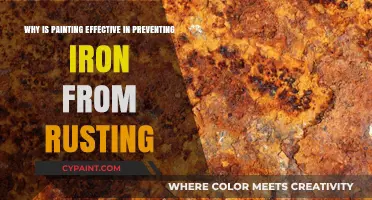 Painting's Protective Power: How It Shields Iron from Rusting