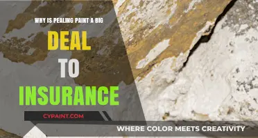 Peeling Paint: A Hidden Risk for Homeowners and Insurers