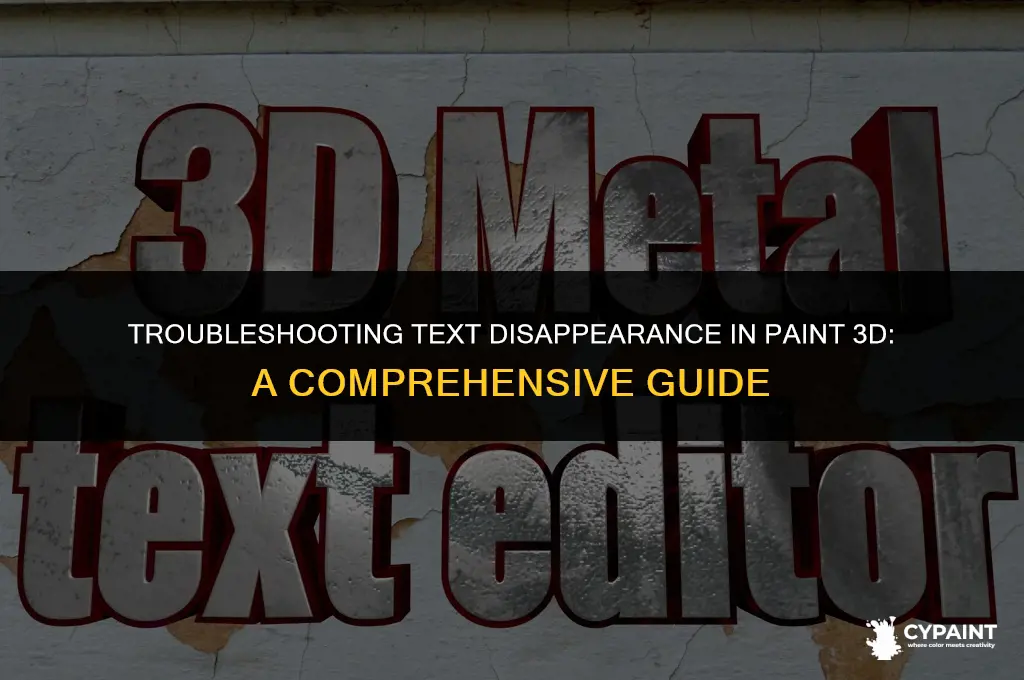 why is some of my text missing in paint 3d