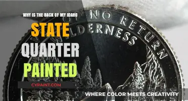 Unveiling the Artistic Mystery Behind Idaho's Quarter Design