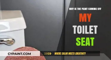Why Is My Toilet Seat Paint Peeling? Causes and Fixes