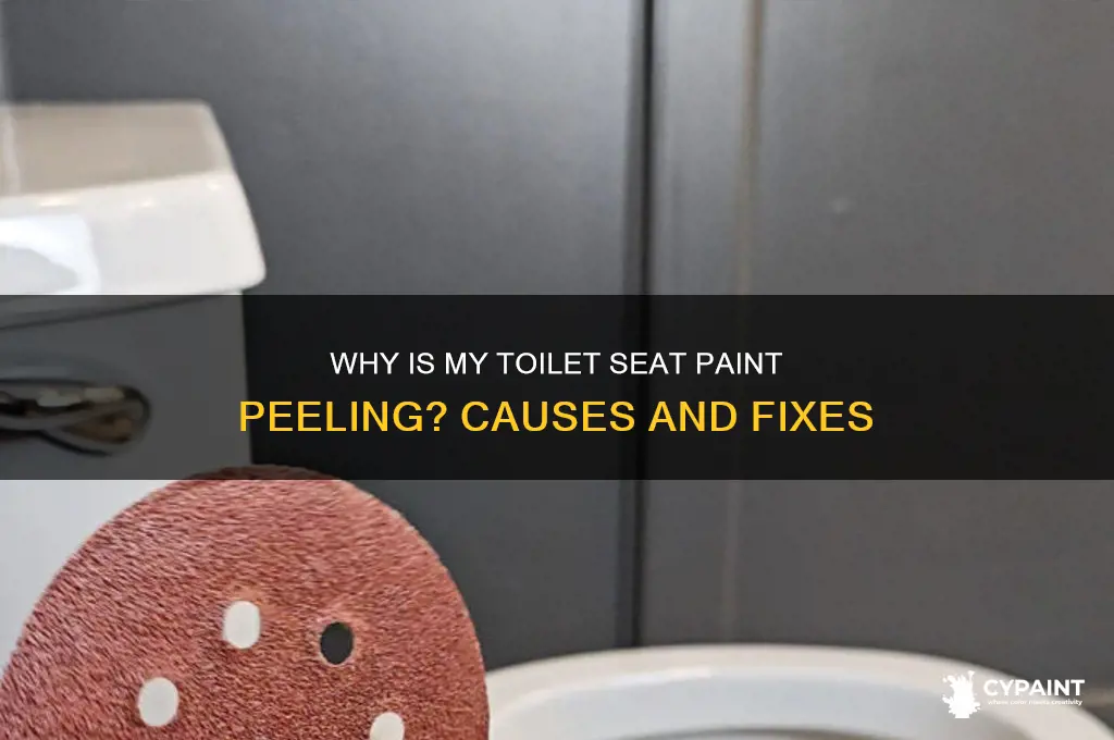 why is the paint coming off my toilet seat