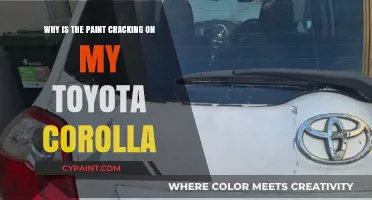Why Is My Toyota Corolla's Paint Cracking? Causes & Fixes