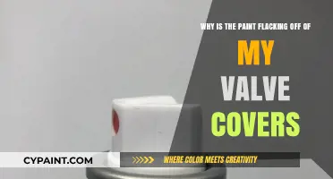 Unraveling the Mystery: Why Your Valve Covers Are Losing Their Luster