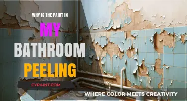 Why Bathroom Paint Peels: Causes and Solutions for Lasting Walls