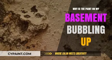 Why Basement Paint Bubbles: Causes and Solutions Explained
